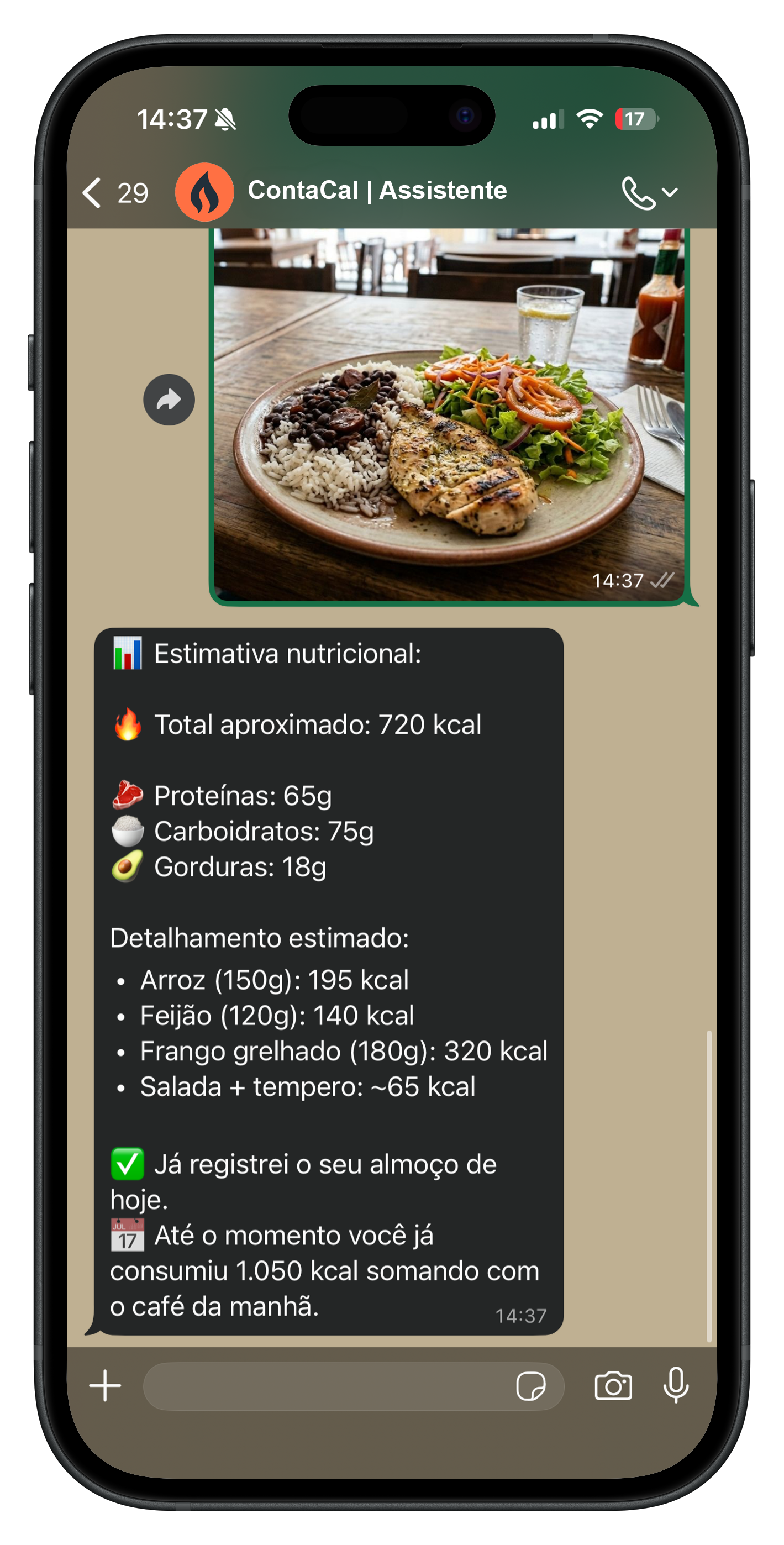 Conversa no WhatsApp — tela 2